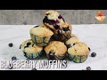 Blueberry Muffins