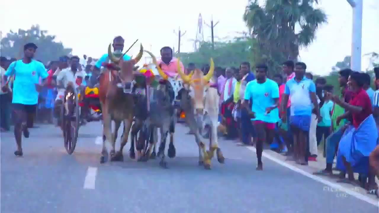 live  புதூர் பாண்டியாபுரம்பூஞ்சிட்டு 3-ம் சுற்று 28-02-2026