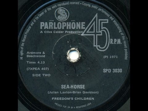 freedom's-children---sea-horse