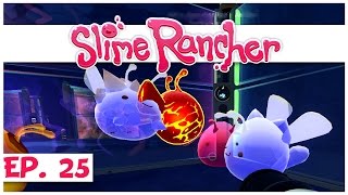 Welcome to slime rancher! in part 25 of our rancher series, we go on a
quest breed all the phosphor slimes! ► watch entire ranche...