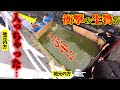 地元の人も唖然20年以上放置されているドブ川を通せんぼしたら…