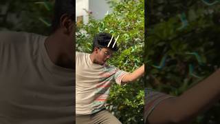 Makkamishi  misty makkamishi dance harrisjayaraj jayamravi makkamishisong