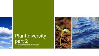 Plant Diversity Part 2