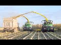 XXL ENSILAGE maïs 2019 in FRANCE 😍 1350CV & NEW JD 9700i !! [ETA Kozub]