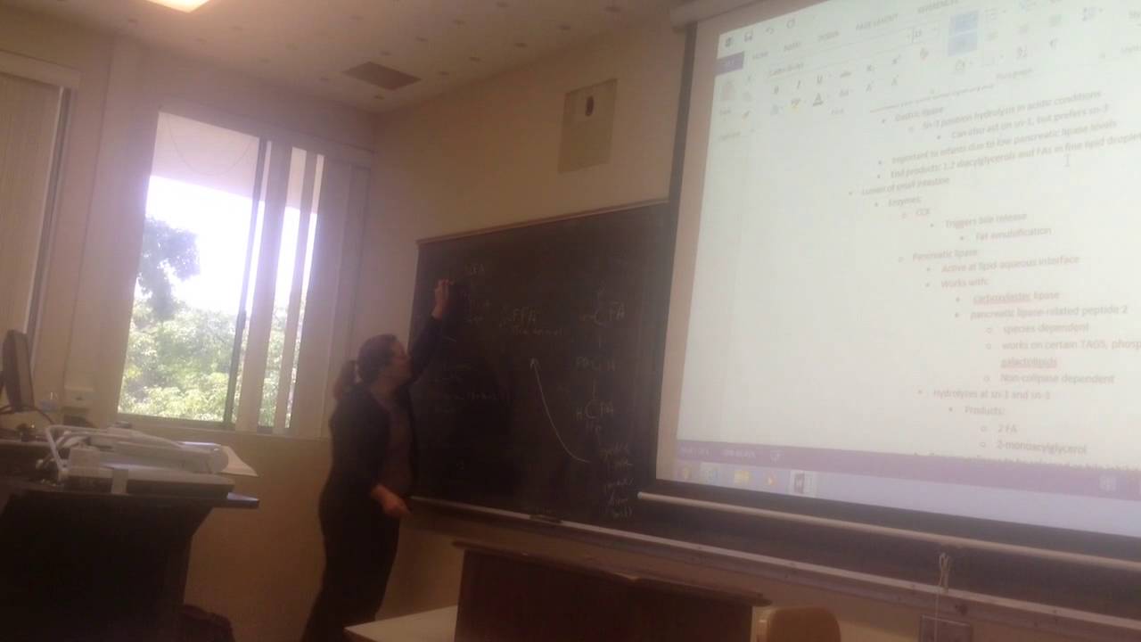 417A - lecture 7.15 (last video on week 7)