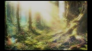 Warm Sunlight.