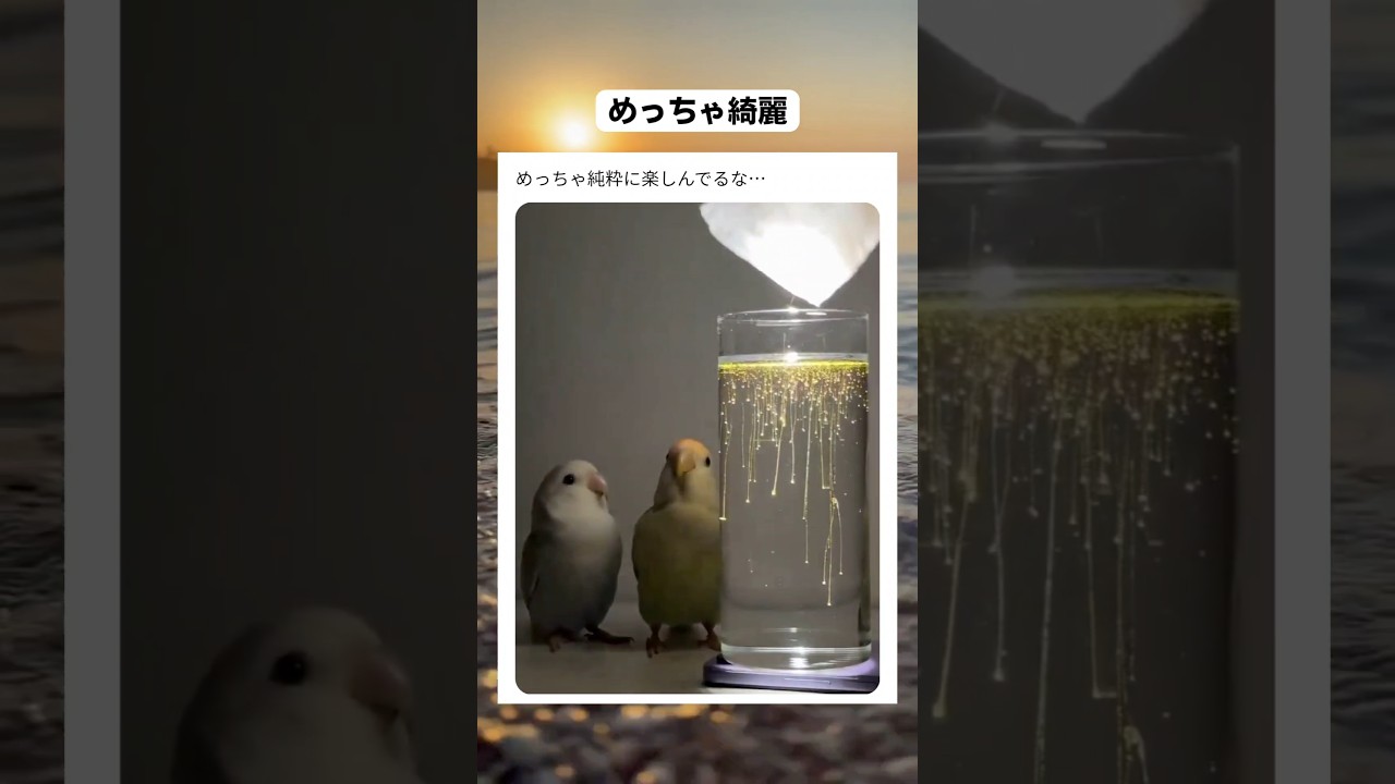 動きがピクサー作品っぽい #すごい #おもしろ #バズれ #おすすめ #おもしろ動画 #shorts #海外