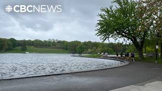 Montrealers mark 150th anniversary of emblematic Mount Royal Park