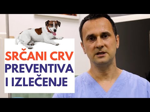 Video: Koje Su Opcije Za Prevenciju Srčanih Crva Za Pse?