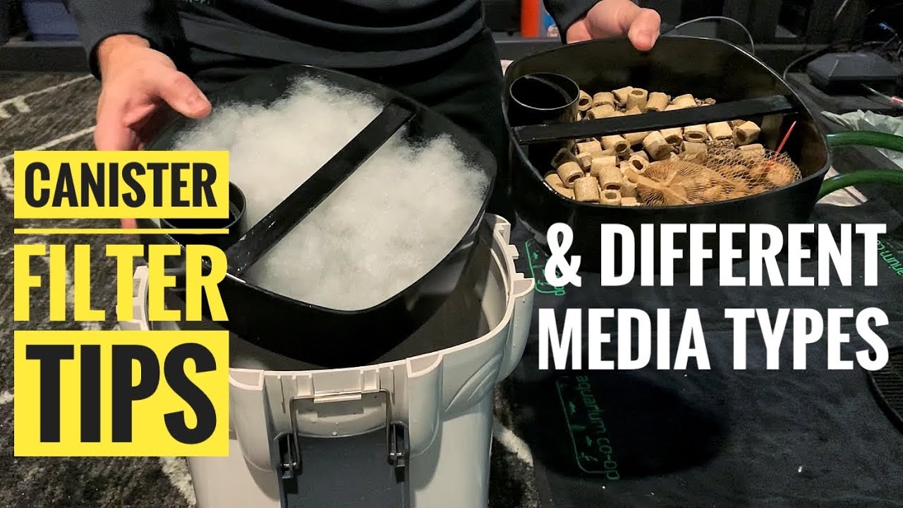 How to SETUP A CANISTER FILTER & the different types of media to use! | Sun-Sun 304B filter