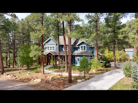 60 Silver Queen South, Durango, CO home video tour