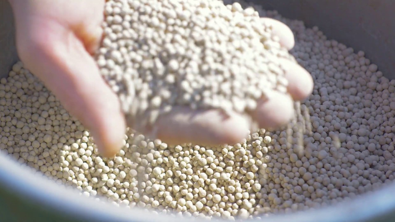 Gazon bemesten - Tuinieren met Hendrik Jan de Tuinman