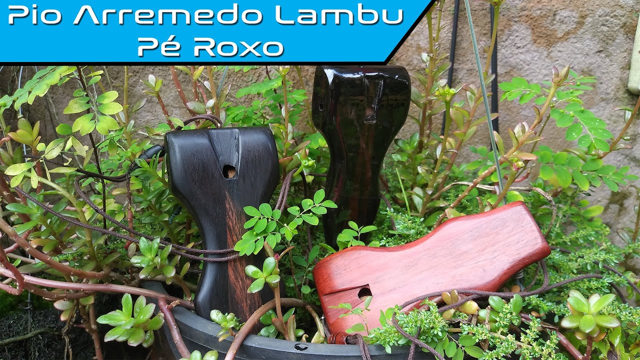 Passo a Passo | Pio Arremedo Lambu Pé Roxo
