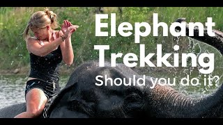 Why You Should Stop Riding Elephants? Margreen Shorts