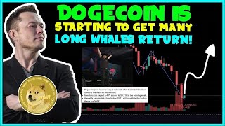 *URGENT* NEWS FOR ALL DOGECOIN INVESTORS FAST! (GREAT NEWS!) Elon Musk, DOGEDAY AGAIN!, Long Whales.