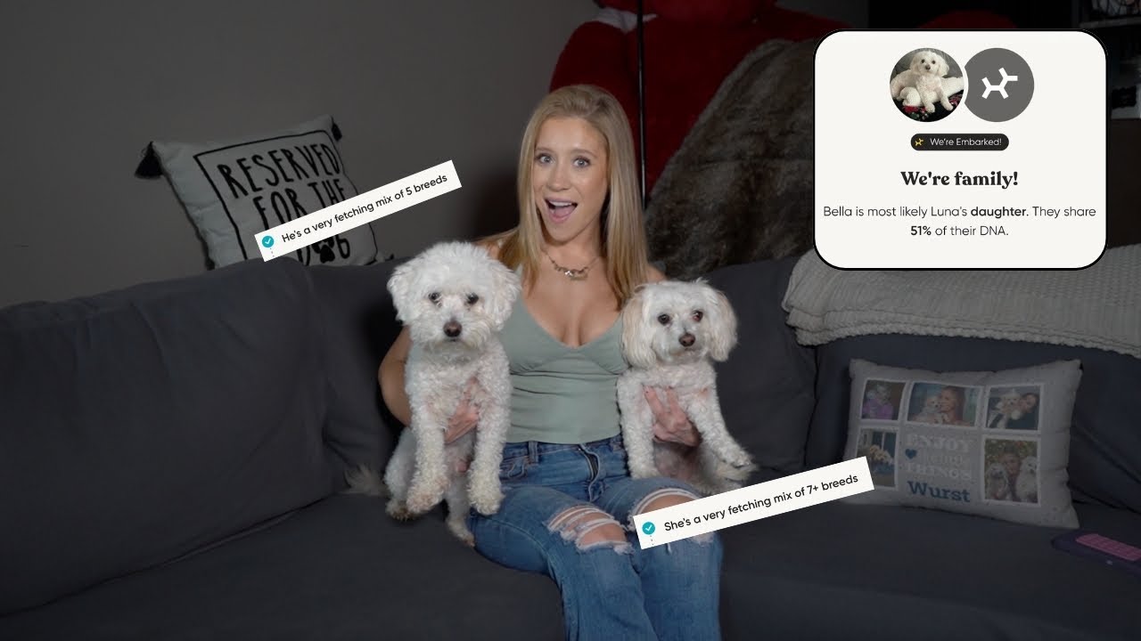 DNA TEST RESULTS ON MY DOGS! *I FOUND HER MOM*