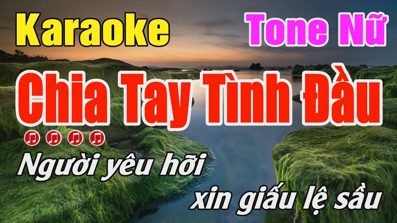 Chia Tay Tình Đầu Karaoke Tone Nữ ( Dm ) Karaoke Bo Music
