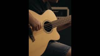 Download Lagu Acoustic bass with a pick sounds good! #shorts MP3