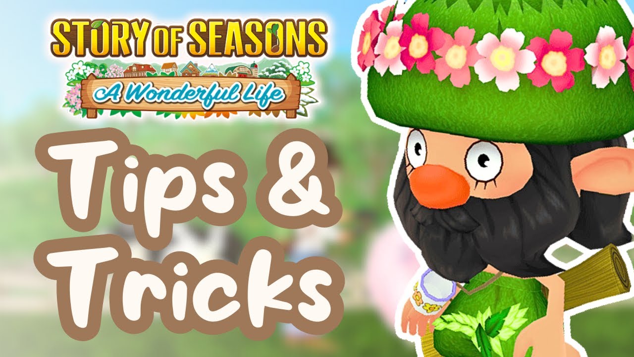 Story Of Seasons: A Wonderful Life Beginner Tips & Tricks - How To
