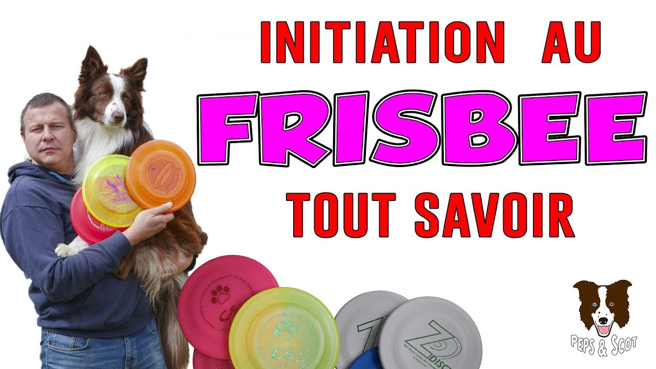 APPRENDRE à JOUER au FRISBEE à son CHIEN 