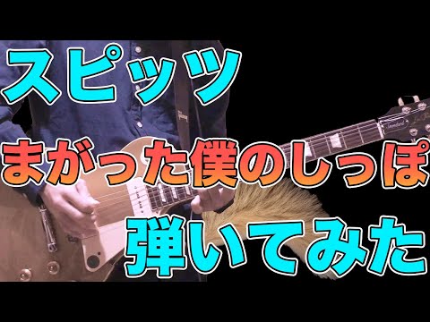【スピッツ】ギターで「まがった僕のしっぽ」弾いてみた