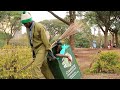 Body inside a Trash bin