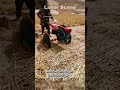Machine hires straw guards for sand 🛡️