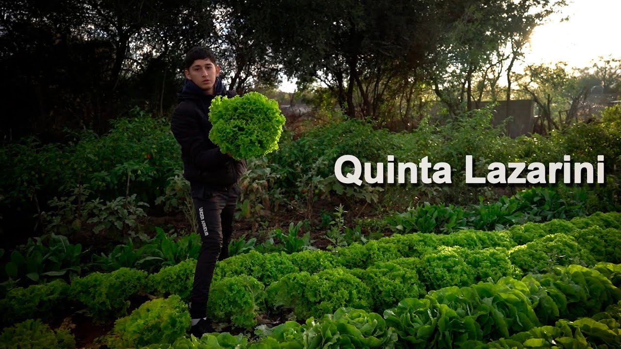 298 Quinta Lazarini - (San Luis) - Estancias y Tradiciones