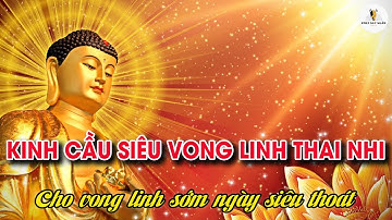 KINH CẦU SIÊU VONG LINH THAI NHI - CHO VONG LINH SỚM NGÀY SIÊU THOÁT ĐẾN MIỀN CỰC LẠC