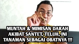 OBAT MUNTAH DARAH & MIMISAN AKIBAT SANTET, TELUH DAN Jin, wa 081271340698