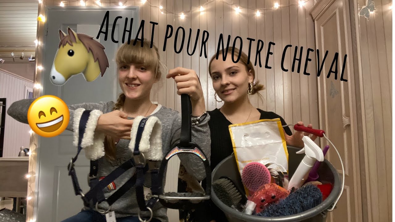 Haul - Achat équestre 🐴