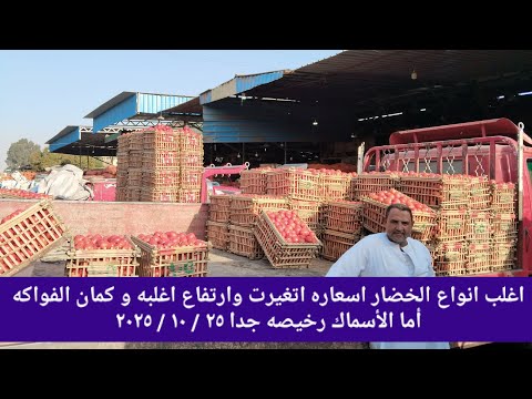 الطماطم والبطاطس والجزر رفعوا اكتر اما باقى الخضار مستقر وبخصوص الفواكه نار نار والاسماك ببلاش