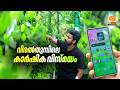വിരൽ തുമ്പിലെ കാർഷിക വിസ്മയം || DD MALAYALAM || KRISHIDARSHAN ||
