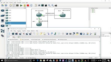 BGP Update Source loopback & Next-Hop-Self--LAB || [ENGLISH]