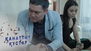 Қанатсыз құстар. Телехикая. 8-бөлім