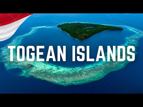 TOGEAN ISLANDS & Una Una: Jellyfish Lake, Plane Wreck Diving - Sulawesi motorbike trip
