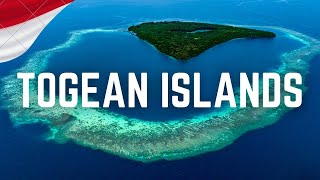 TOGEAN ISLANDS & Una Una: Jellyfish Lake, Plane Wreck Diving  Sulawesi motorbike trip