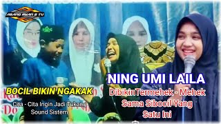  Ning Umi Laila Ingin Mempersuwami Sibocil Tp Ditolaklucunya Bikin Ngakak 2024