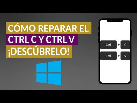 No funciona CTRL C y CTRL V ¿Cómo repararlo en mi PC Windows?