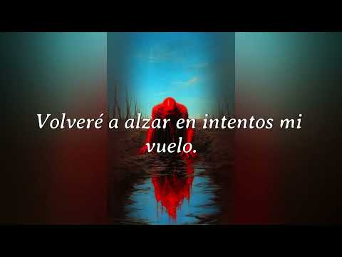 Un último intento- Insensato
