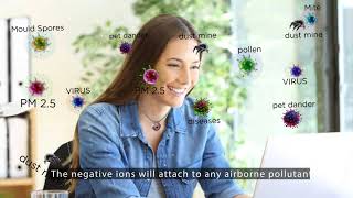 Oxy-Angel Air Ionizer