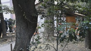 靖国神社で「爆発音」通報 ゲリラか、けが人なし