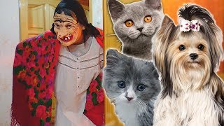 ТАЙНАЯ ЖИЗНЬ моих ДОМАШНИХ ЖИВОТНЫХ и Кто эта странная БАБУЛЯ в нашем доме ТАЙНАЯ ЖИЗНЬ моих ДОМАШНИХ ЖИВОТНЫХ и Кто эта странная БАБУЛЯ в нашем доме