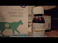 Vet's management on cat Chara who got sick from air travel and moving to new place