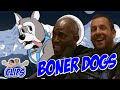 Adam Sandler &amp; Kevin Garnett Get Pitched "Boner Dogs"