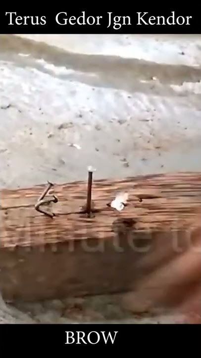 suara pukul paku pake palu ke kayu | #shorts youtube