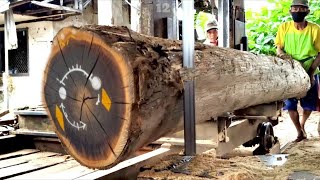 Download Lagu A rare find of beautiful oak wood MP3 Download Lagu A rare find of beautiful oak wood MP3