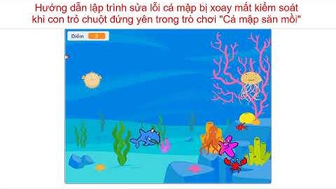 Lập trình với Scratch 3 - Cá mập không bị xoay mất kiểm soát - Trò chơi cá mập săn mồi