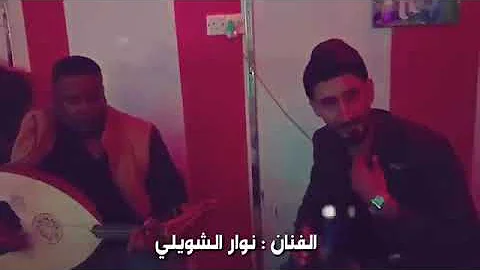 الفنان نوار الشويلي