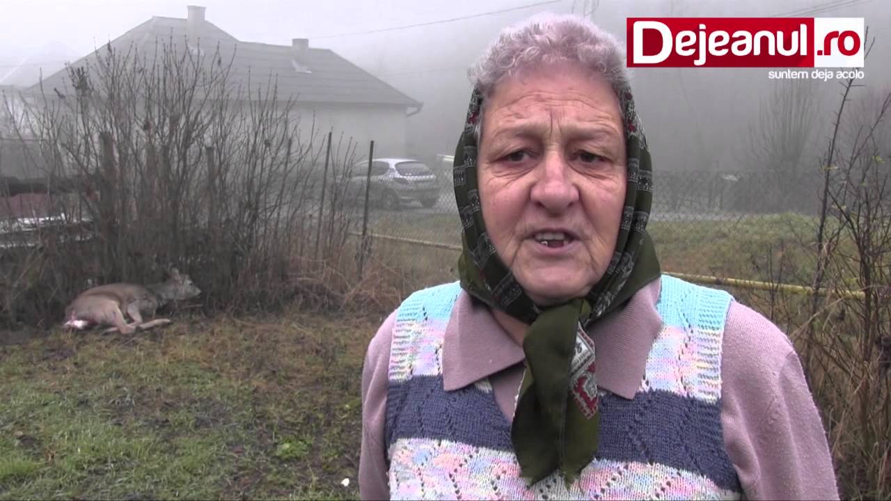 scandal Frenzy drop Caprioara ranita de caini in Dej. Autoritatile au pasat cazul de la unul la  altul - VIDEO - Dejeanul.ro